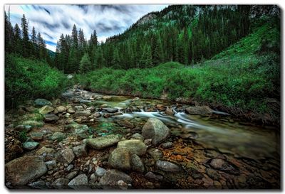 Streamline Art Alpine Stream Flow 30x45 D4637