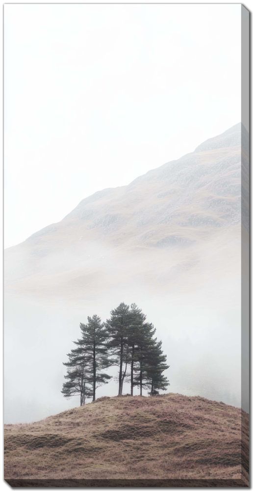 Streamline Art Timeless Woods l 30x60 D4283