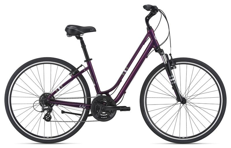 Liv Flourish FS 1 Chameleon Plum Medium