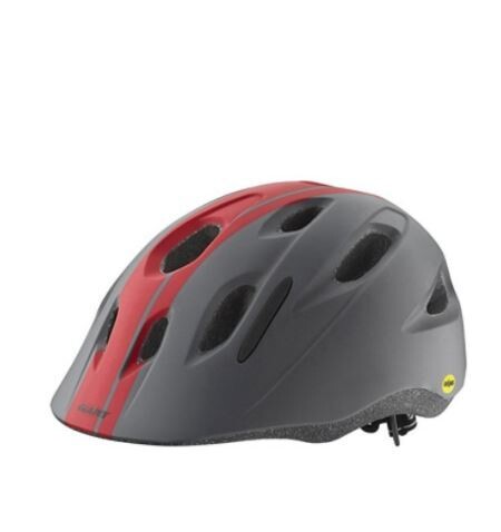 Giant Hoot Charcoal Helmet