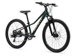 Giant Talon 24 Disc Trekking Green