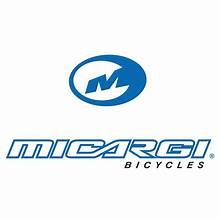 Micargi
