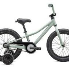 Specialized Riprock CB 16"