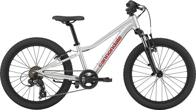 Cannondale Trail 20 SLV - Silver