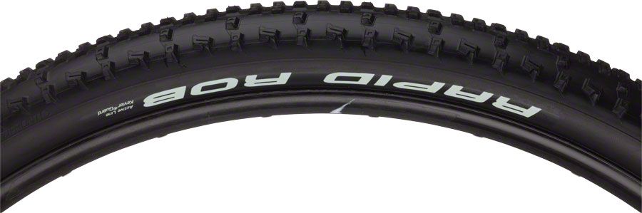 Schwalbe RapidRob Tire - 29 x 2.10 Blk
