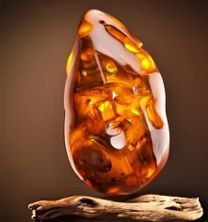 Amber and Driftwood Wax Melt 2.5oz