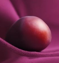 Cashmere Plum Wax Melt 2.5oz