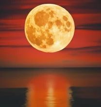 Harvest Moon Soy Candle 7oz