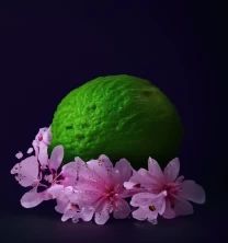 Tre Watson - Black Blossom Soy Candle 7oz