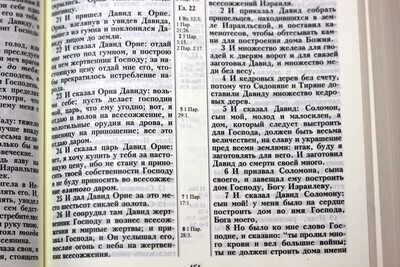 📖 Библия на русском языке, твердая обдложка (170х240 мм)