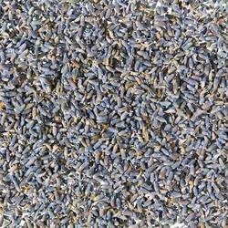 HERBAL TEA LAVENDER SAPPHIRE BLUE (FRENCH SUPER)