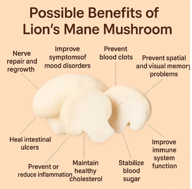 Wellness Lion&#39;s Mane Mushroom