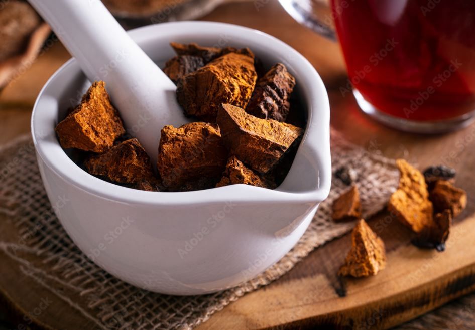 Wellness Tea " Wild Canadian Chaga Mushroom "