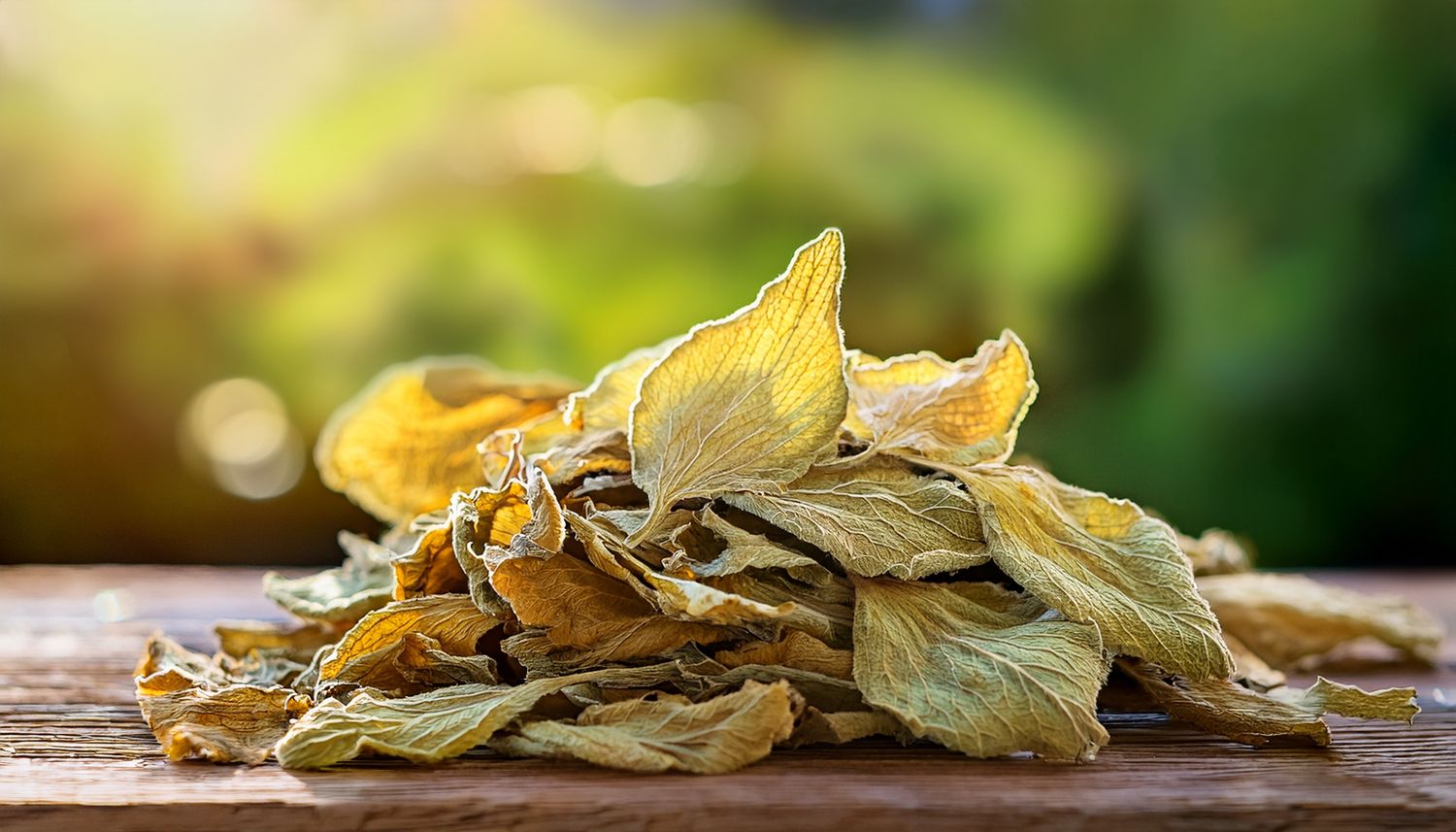 Herbal Tea Mullein Leaves Cut