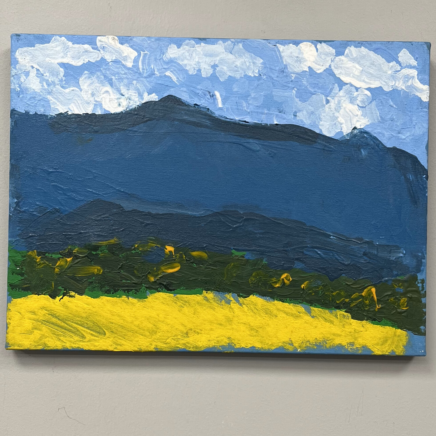 Alphonso Rowe, Mountain Range, Acrylic on Canvas