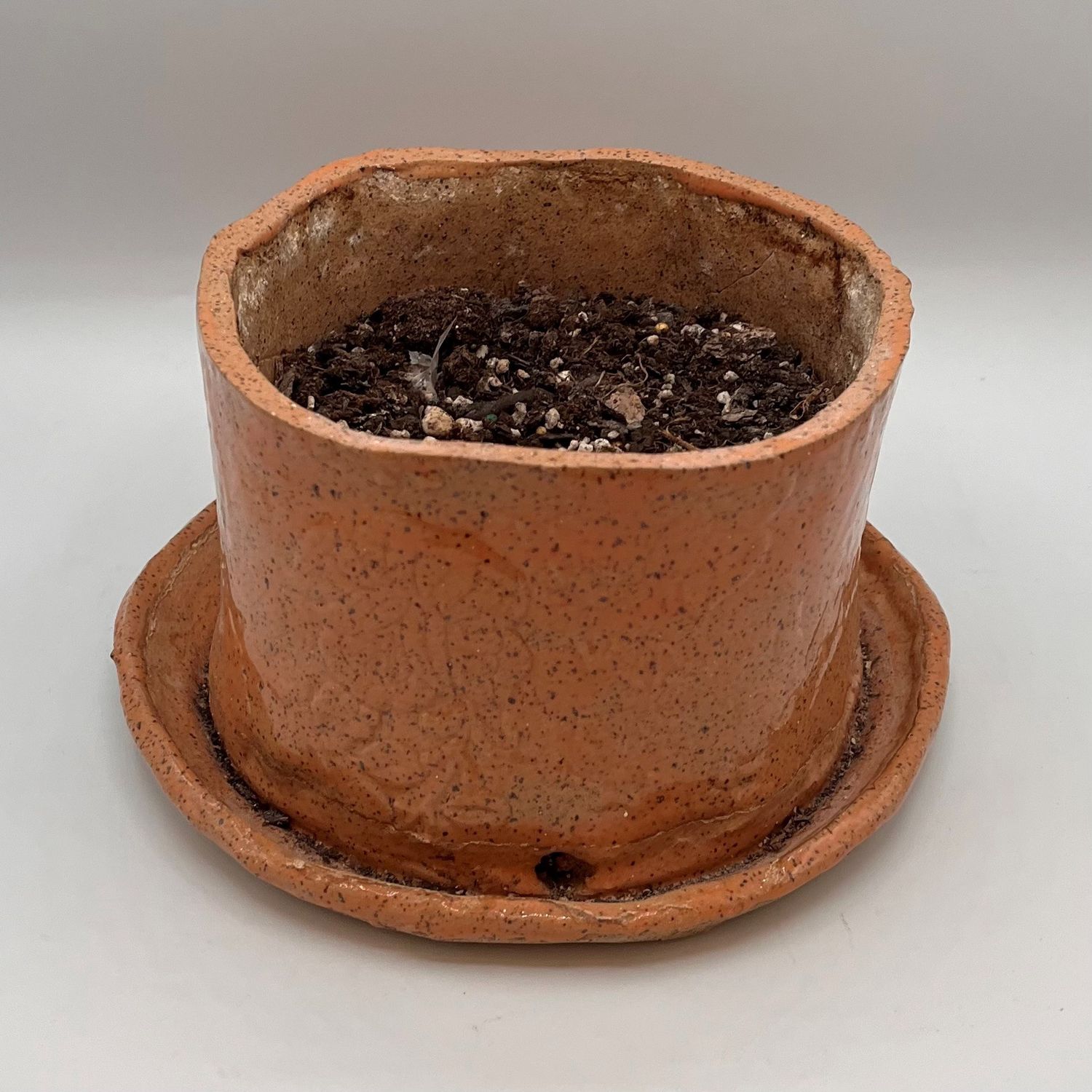 Kathleen Honeycutt, Planter, Black Spotted Orange