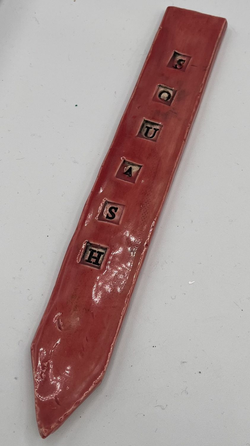 Andrea Walker, Ceramic Garden Stake, Squash on Red Background