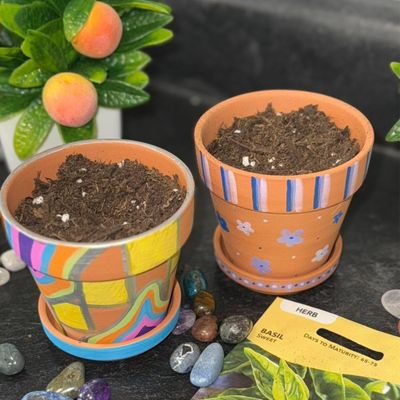 September 16th, 2026: Herb Gardening Basics