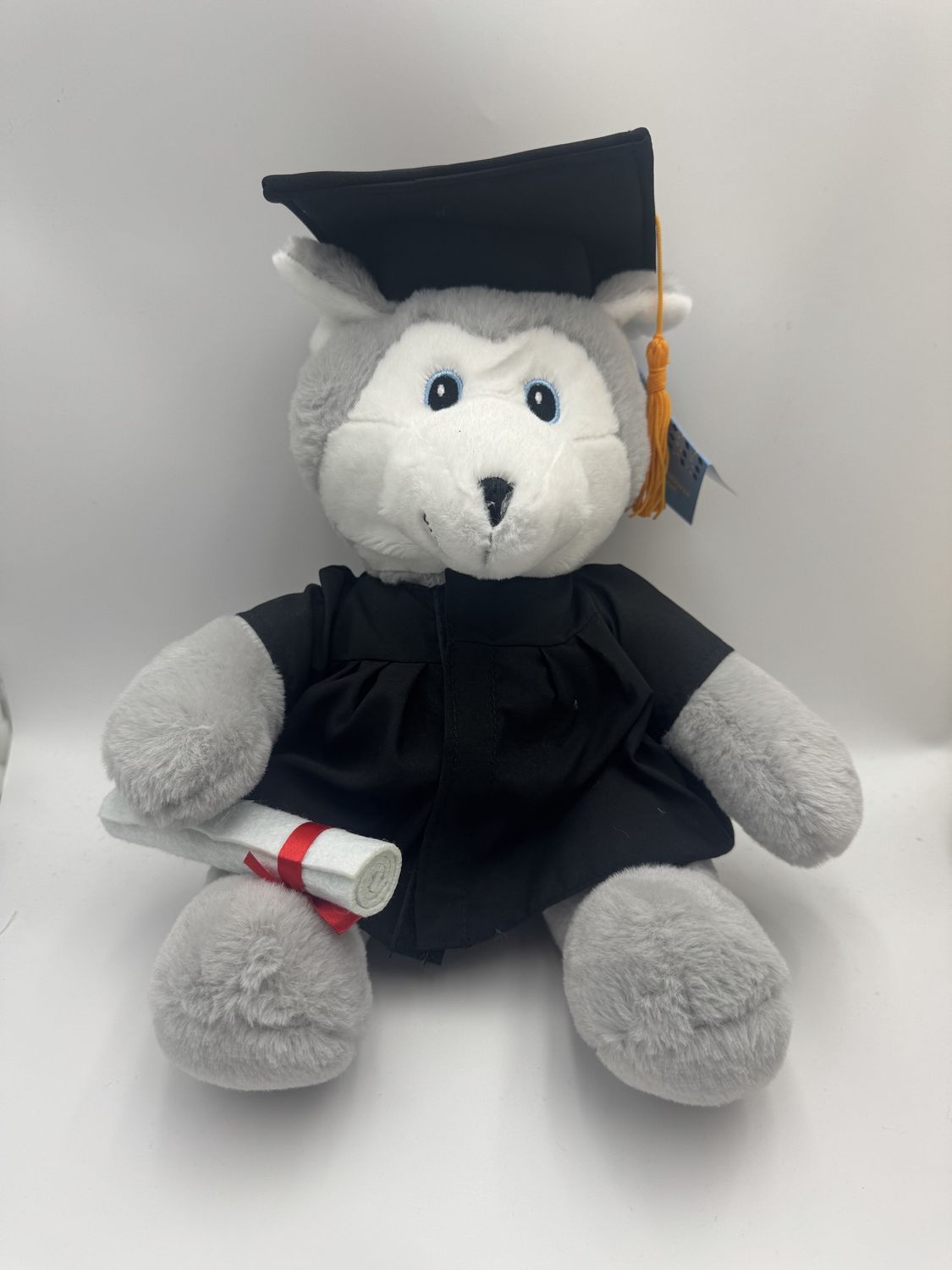 HUSKY GRADUATION BEAR 12''