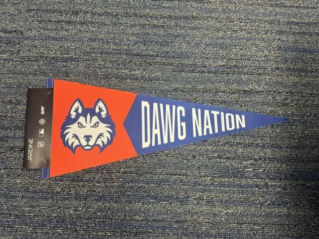 12"X30" DAWGS NATION PENNANT