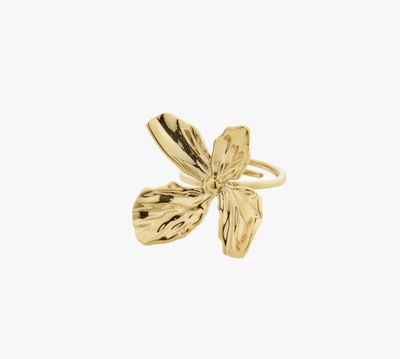 Dream statement ring