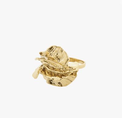 Eclipse ring goud
