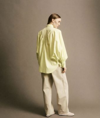 Martin jaune pale