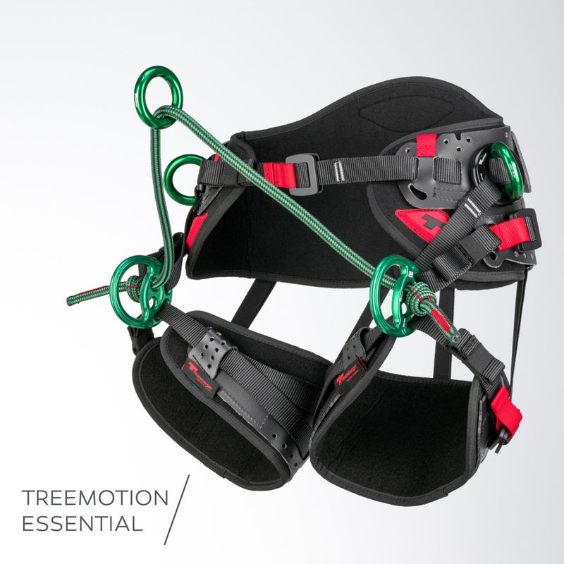 TREE MOTION ESSENTIAL