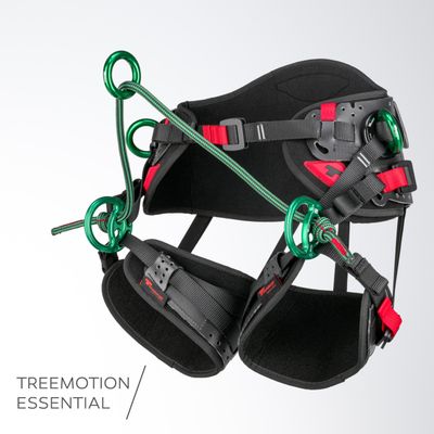 TREE MOTION ESSENTIAL