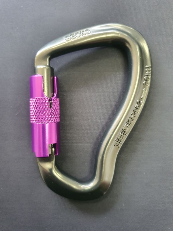 ISC GECKO QUADLOCK - 30kN