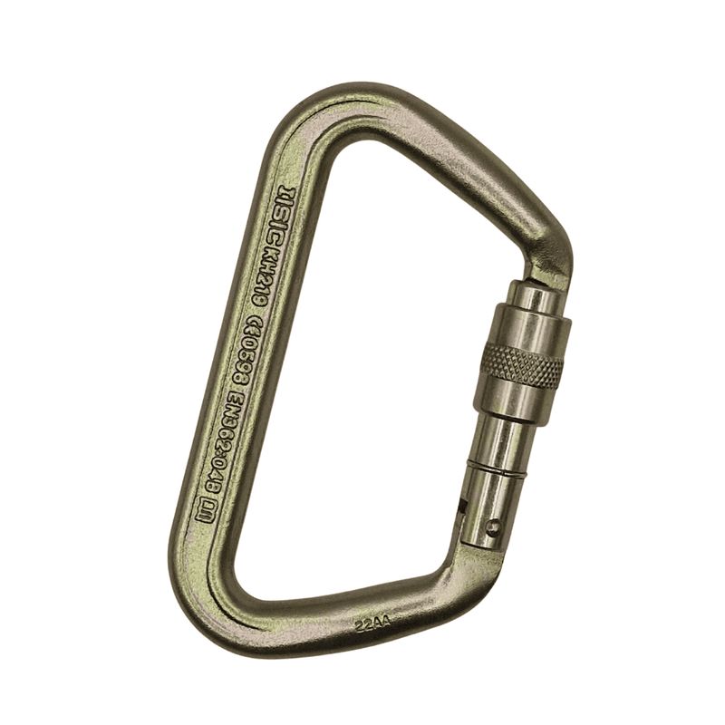 ISC IRON WIZARD CARABINER - LARGE D SCREWGATE
