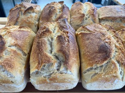 Der 100 Jährige! 100% Dinkelbrot/100 Stunden Reifezeit Gewicht ca. 500 Gramm