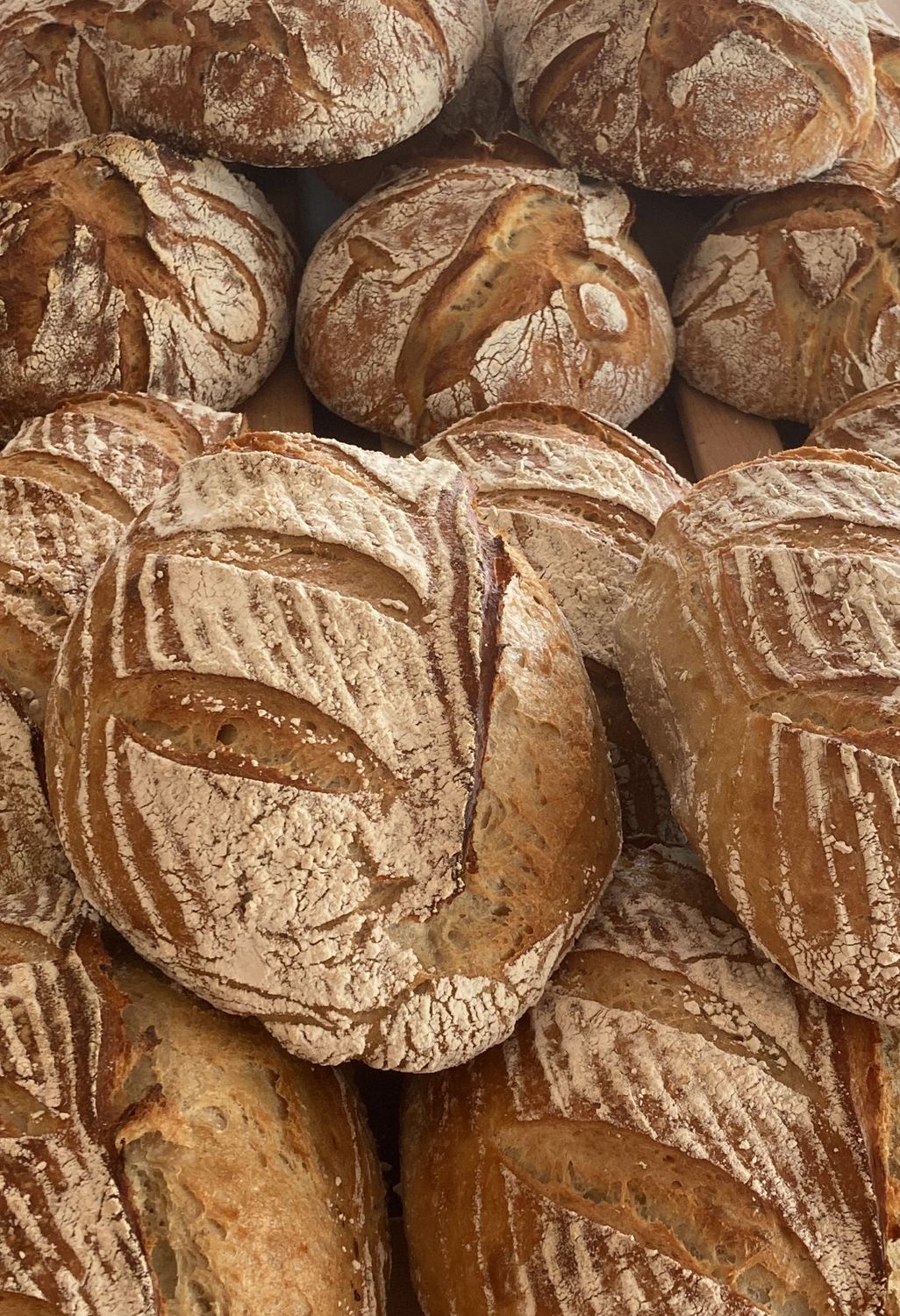 Olly Gewicht ca. 750 Gramm