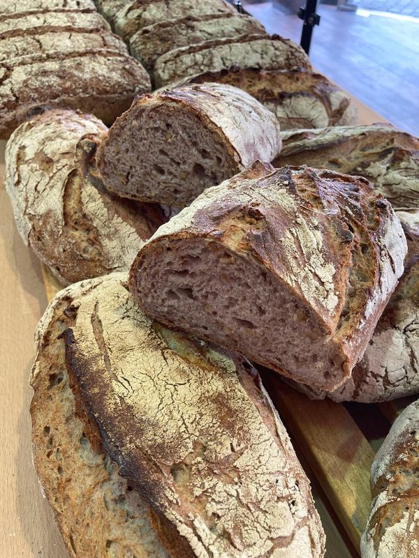 Walter Walnuss Gewicht ca. 750 Gramm