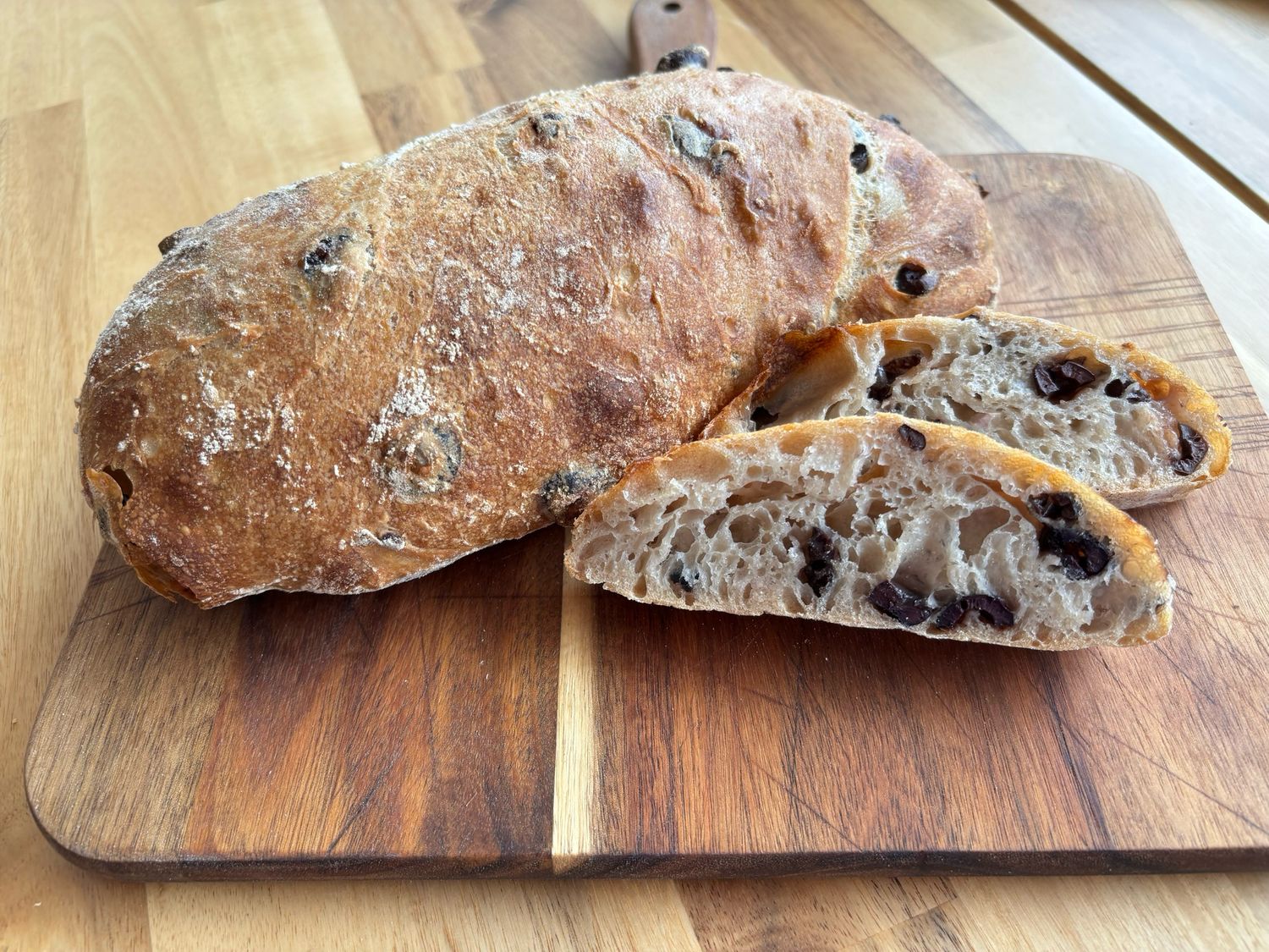 Ciabatta Olivia