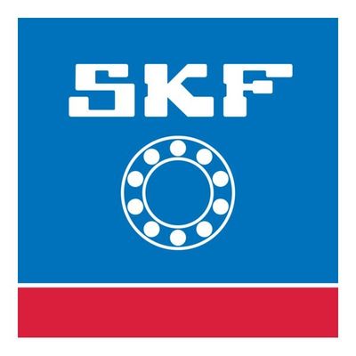 SKF BEARINGS