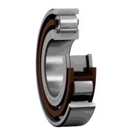 SKF N209 ECP [45x85x19]
