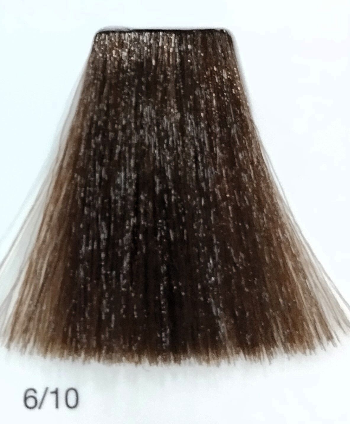 TINTE GAMMA ERAYBA 6/10 RUBIO OSCURO CENIZA 100ML