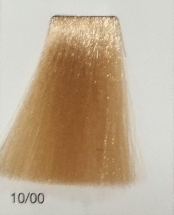 TINTE GAMMA ERAYBA 10/00 RUBIO SUPER CLARO 100ML