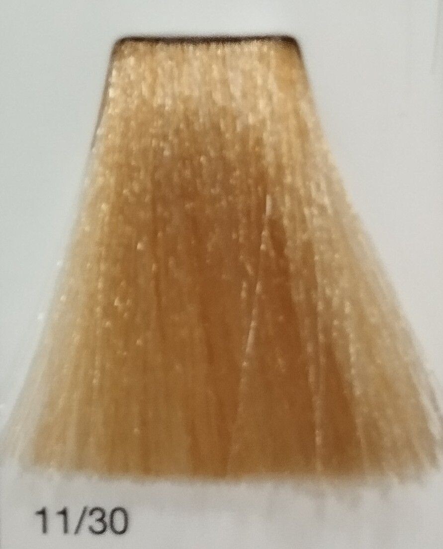 TINTE GAMMA ERAYBA 11/30 RUBIO EXTRA CLARO DORADO 100ML