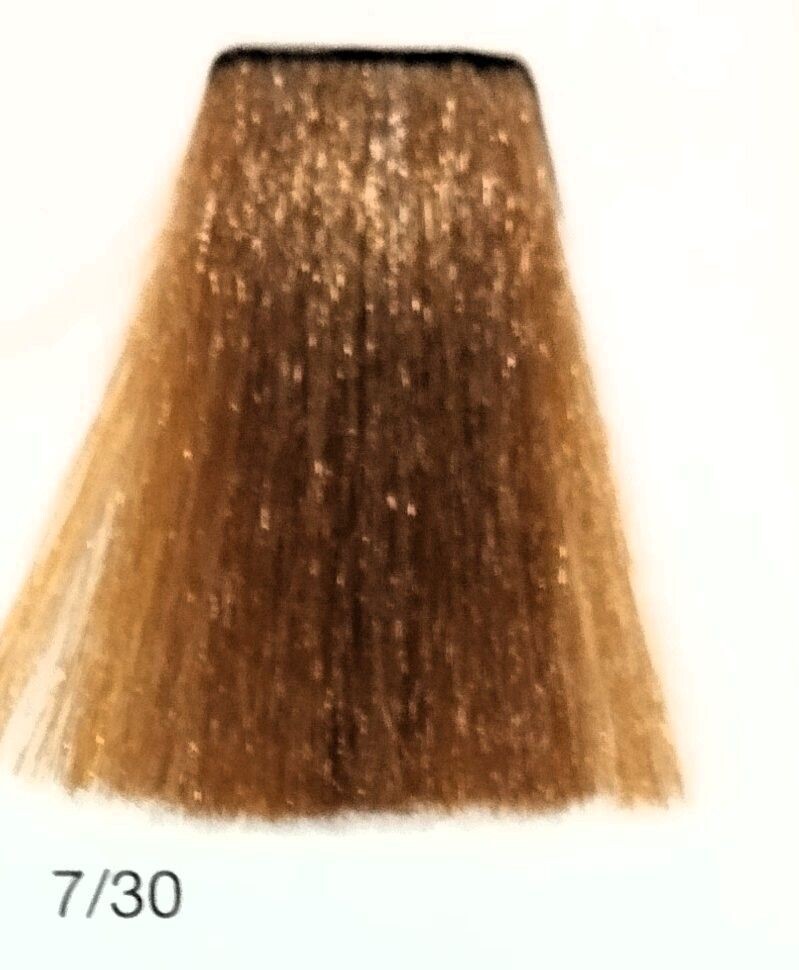 TINTE GAMMA ERAYBA 7/30 RUBIO DORADO 100ML