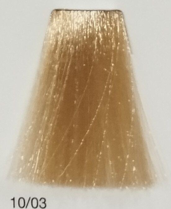 TINTE GAMMA ERAYBA 10/03 RUBIO SUPER CLARO NATURAL DORADO 100ML