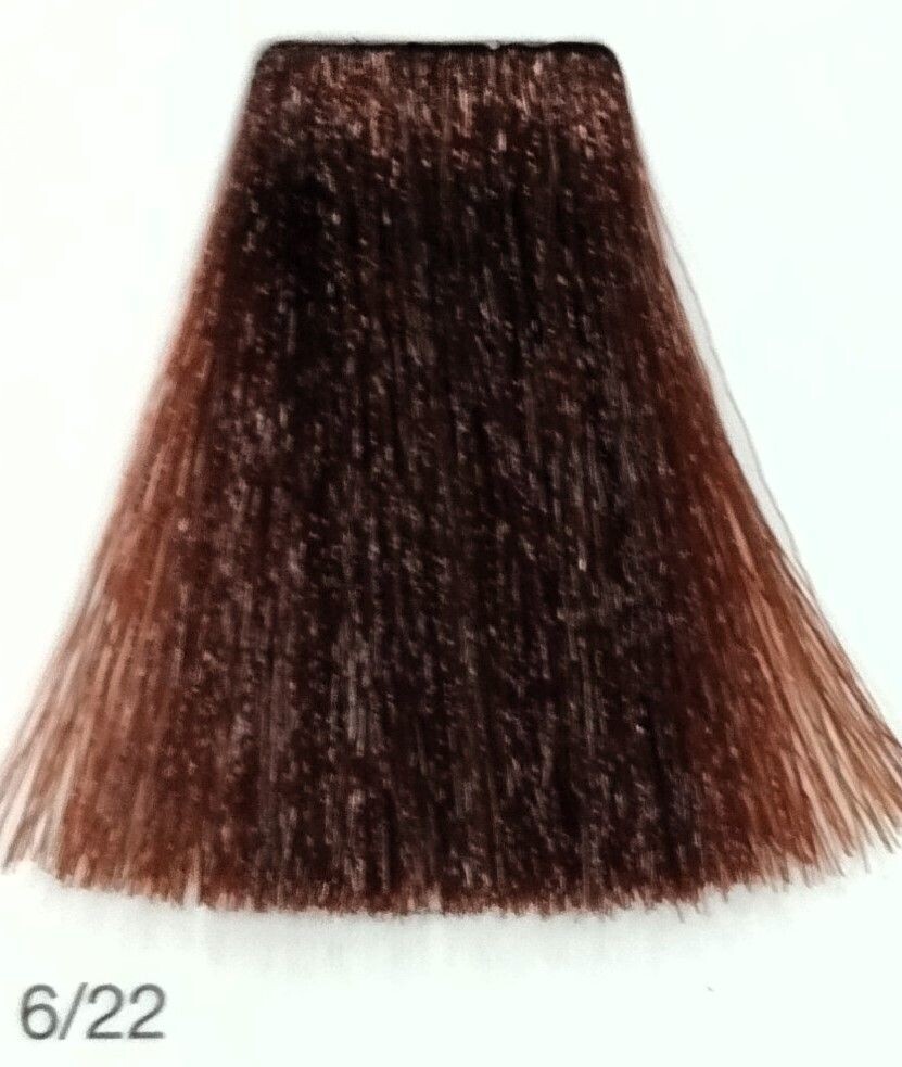 TINTE GAMMA ERAYBA 6/22 RUBIO OSCURO IRISADO INTENSO 100ML
