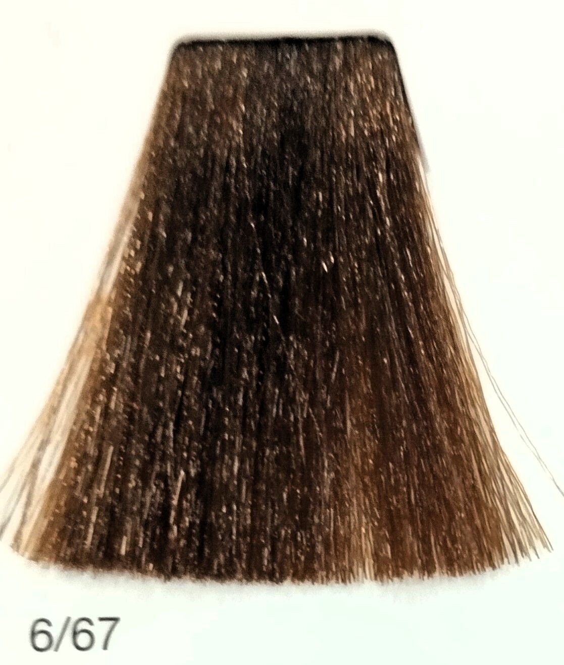 TINTE GAMMA ERAYBA 6/67 RUBIO OSCURO MARRÓN FRÍO 100ML