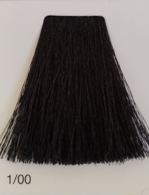 TINTE GAMMA ERAYBA 1/00  NEGRO 100ML