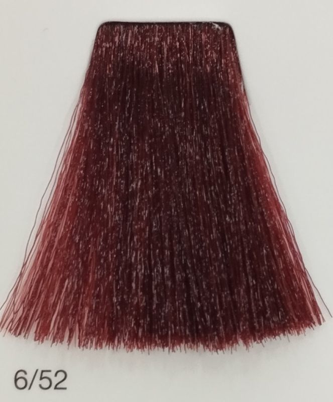 TINTE GAMMA ERAYBA 6/52 RUBIO OSCURO CAOBA IRISADO 100ML
