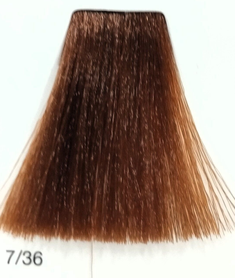 TINTE GAMMA ERAYBA 7/36 RUBIO DORADO MARRÓN 100ML