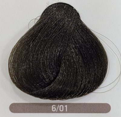 TINTE EQUILIBRIUM ERAYBA 6/01 RUBIO OSCURO NATURAL CENIZA 120ML