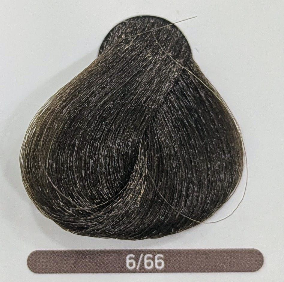 TINTE EQUILIBRIUM ERAYBA 6/66 RUBIO OSCURO MARRÓN INTENSO 120ML