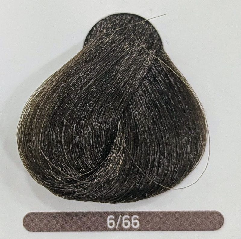 TINTE EQUILIBRIUM ERAYBA 6/66 RUBIO OSCURO MARRÓN INTENSO 120ML